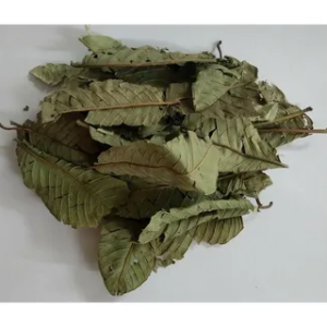 Dried guava leaf