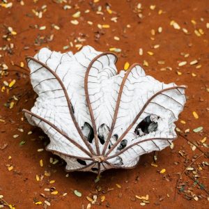 Dry trumpet tree leaves