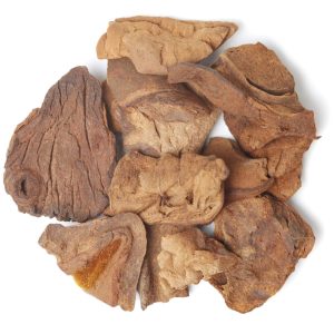 Chaney root