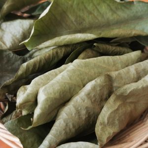 Dried soursop leaf
