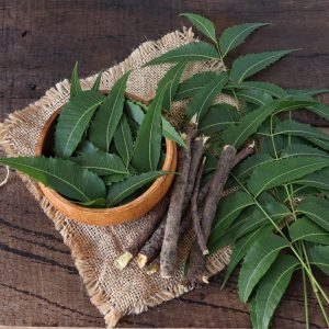 neem leaves