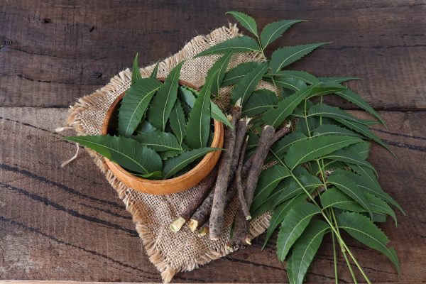 neem leaves