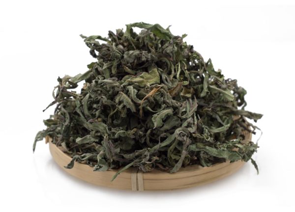 Dried grass Dandelion