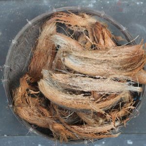 Dried Young coconuts husk