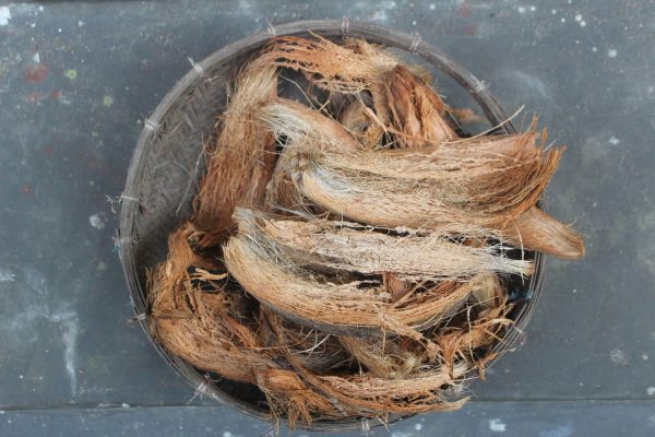 Dried Young coconuts husk