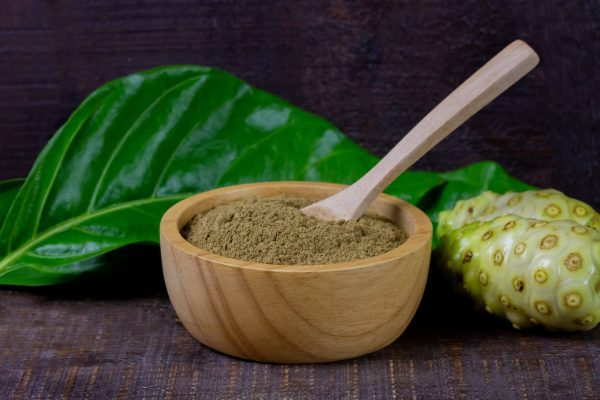 Dried Morinda citrifolia leafs