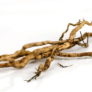 Dried bois bande bank