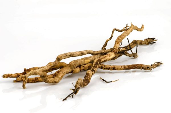 Dried bois bande bank