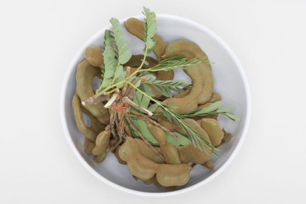 Dry Tamarind leaves